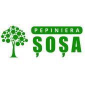 Pepiniera Sosa