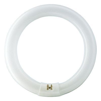 Ph TUB fluorescent circular TL-E 32W 865-el17525