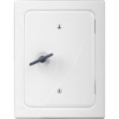Usa Horn vopsita H280 B160 alba 660393