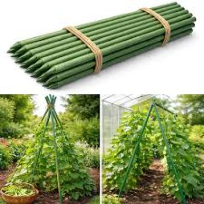 Araci si accesorii plante fara