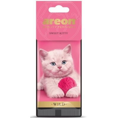 Areon Dry Wild