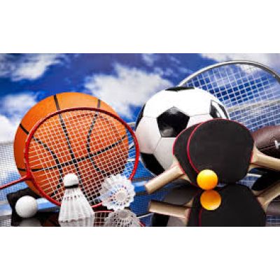 Articole sportive