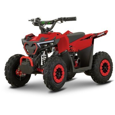 ATV electric FFG1000 ROSU