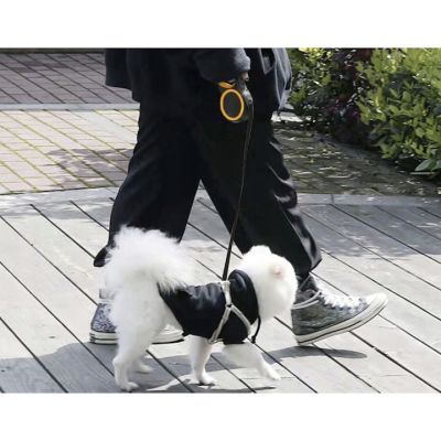 Automatic dog leash 8m/50kg Purlov 19786 Automatic dog leash 8m/50kg Purlov 19786