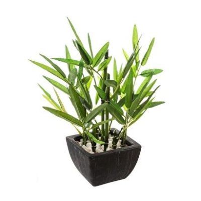 Bambus 26 cm inaltime cu oala ceramica 167218 Bambus 26 cm inaltime cu oala ceramica 167218