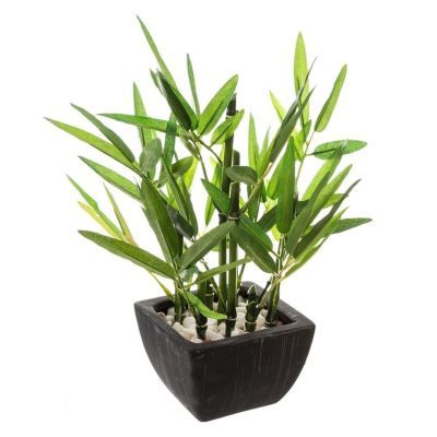 Bambus 26 cm inaltime cu oala ceramica 167218 Bambus 26 cm inaltime cu oala ceramica 167218