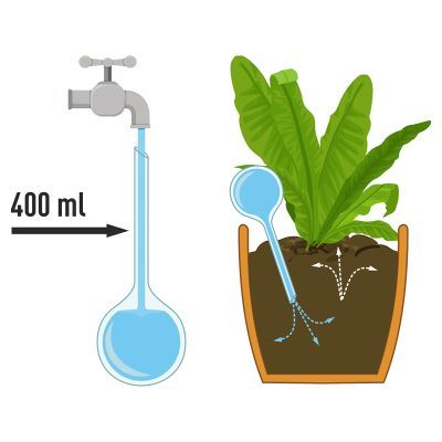 Bile de irigare pentru plante, negru transparent, 400 ml, 2 buc. 720926