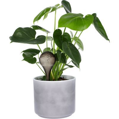 Bile de irigare pentru plante, negru transparent, 400 ml, 2 buc. 720926