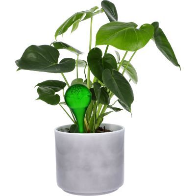 Bile de irigare pentru plante, verde transparent, 400 ml, 2 buc. 720929