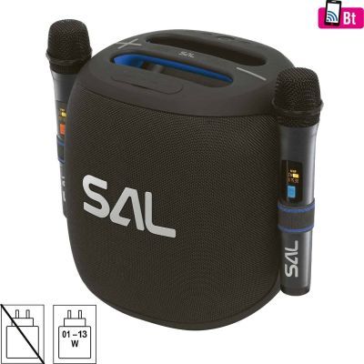 BoomBox 2 microfoane fara fir rezistent la apa PARCUBE