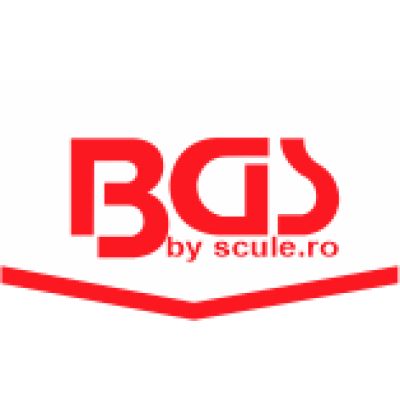 BGS Germania