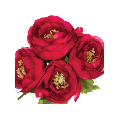 Buchet de 6 ranunculi 25 cm 110256