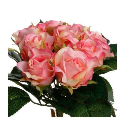 Buchet de 9 trandafiri 24 cm inaltime roz 130814