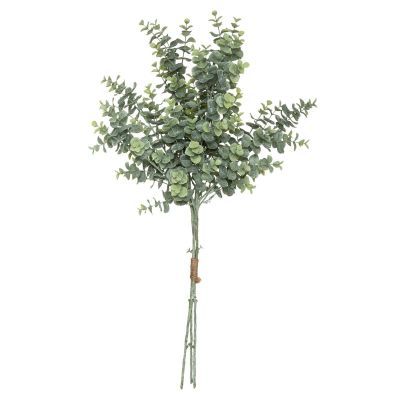 Buchet de eucalipt 64 cm inaltime 179274