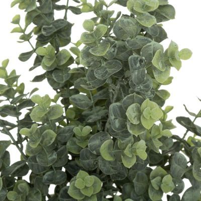 Buchet de eucalipt 64 cm inaltime 179274