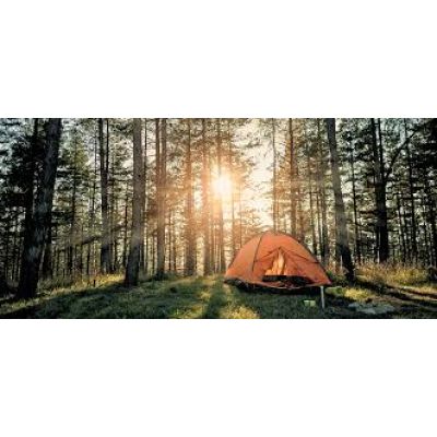 Camping Honest