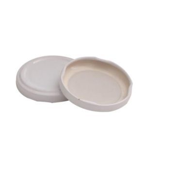 Capac MIC cu filet TW 53 (100)