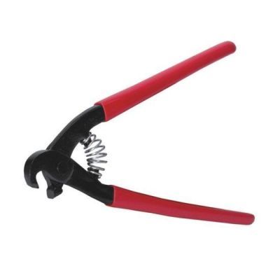 Cleste papagal rupt faianta Ded021