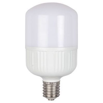 Bec LED 40W E40 6500K Tg-2401.2401-el0044654