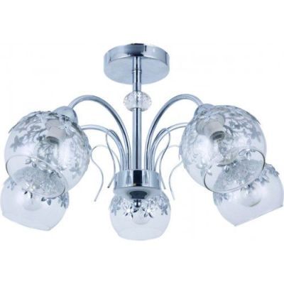 Ly Clematis 5 Ly3466