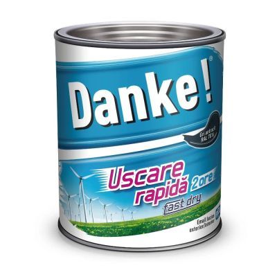 D DANKE EMAIL GRI ANTRACIT RAL 7016 0,75L