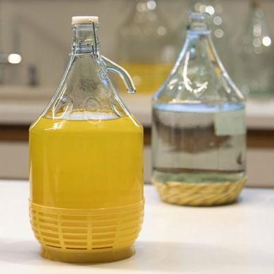 Damigeana sticla cu cos de plastic 5L