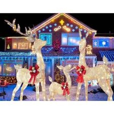 Decoratiuni pentru Craciun fara