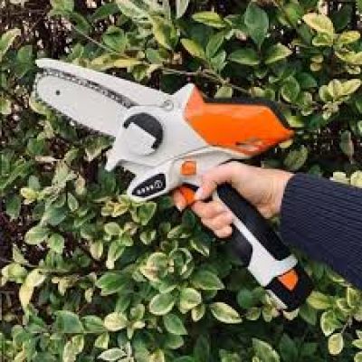 Drujbe si fierastraie electrice Blade
