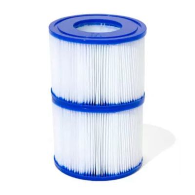 Filtru pentru pompa SPA tip VI Bestway 60311