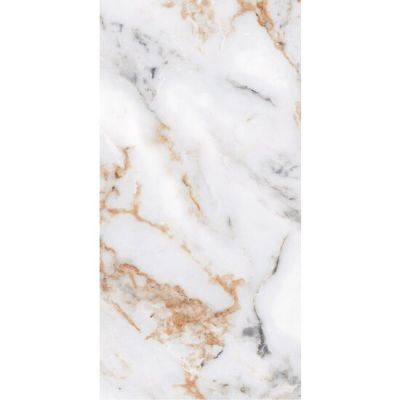 Gresie portelanata gold&silver 002 60x120 1.44mp/cut