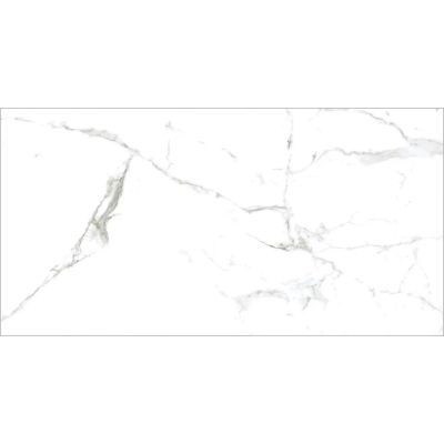 Gresie protelanata lux spider alb mat 120x60 1.44mp/cut