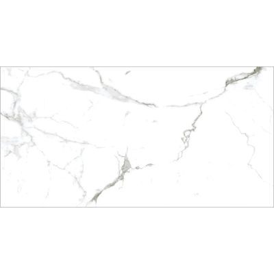 Gresie protelanata lux spider alb mat 120x60 1.44mp/cut