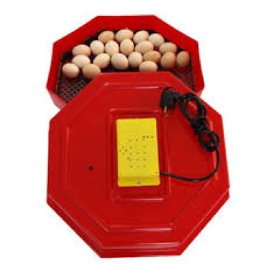 Incubator oua