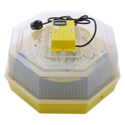 Incubator simplu electric Cleo 5