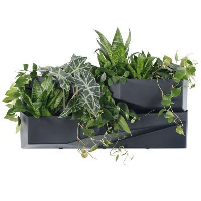 Io3w800-s433 vertical Garden 3set-anthracite Io3w800-s433 vertical Garden 3set-anthracite