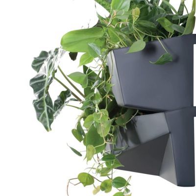 Io3w800-s433 vertical Garden 3set-anthracite Io3w800-s433 vertical Garden 3set-anthracite