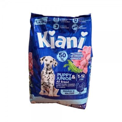 Kiani dog puppy junior pasare/mazare