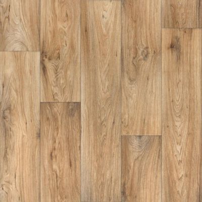 Linoleum Evolution Wagner 2-1m