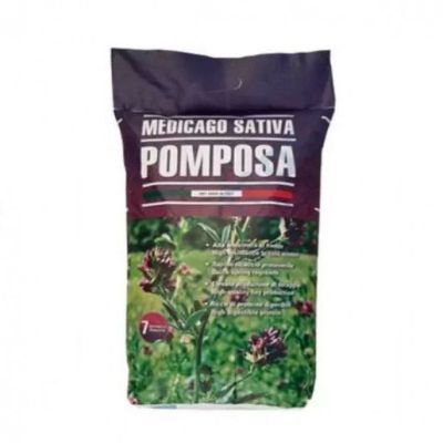 Lucerna pompoasa C1 10kg