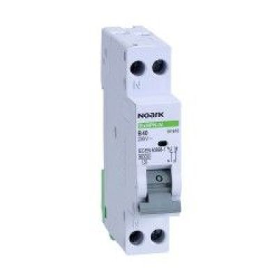 Nk intr auto 20A 1P+N 1M 4.5K C 101596 EL0038913