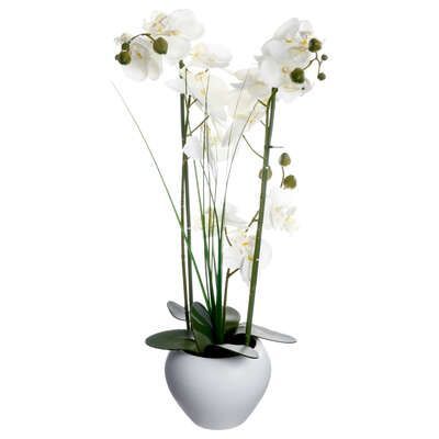 Orhidee in ghiveci alb 38 x 38 x 53 cm  136510b