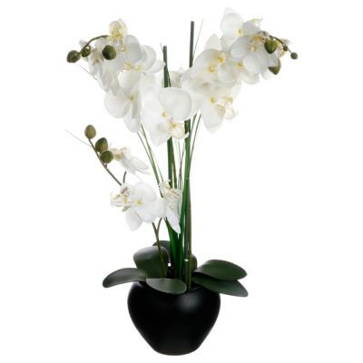 Orhidee in VAS ceramica H:53CM 136510a