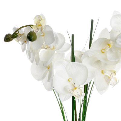 Orhidee in VAS ceramica H:53CM 136510a