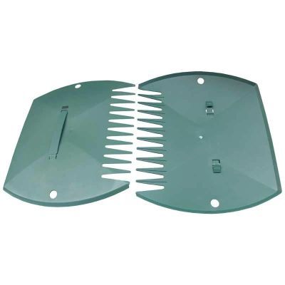 Palmare ptr. strans frunze-634159