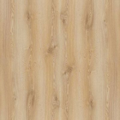 Parchet laminat trend OAK PRK501 8MM AC4 CL32, 8mm, 1.8336 mp / cutie, beige