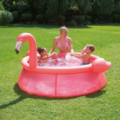Piscina cu inel gonflabil Summer Waves QS 183x51cm Flamingo