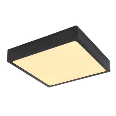 Plafoniera metal 22W 4000K 12369-22