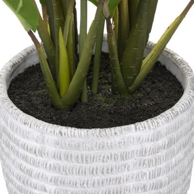 Planta Crinul Pacii in ghiveci 54 cm inaltime 185473