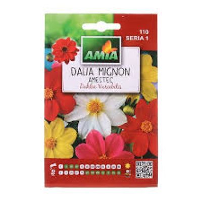 PLIC DALIA NANO MIX-471F9101 PLIC DALIA NANO MIX-471F9101