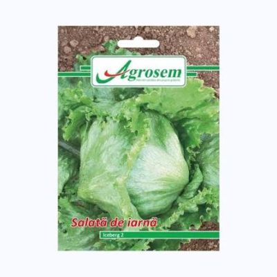 Plic Salata iceberg 3gr Plic Salata iceberg 3gr